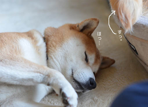 26日ブログ7.jpg