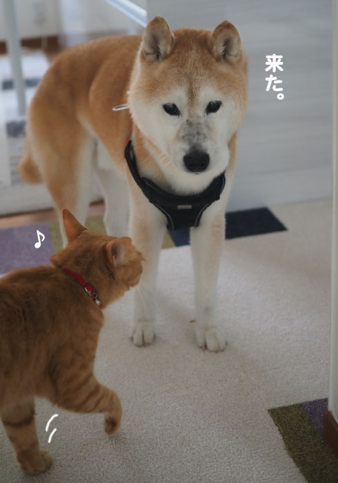 16日夕ブログ３