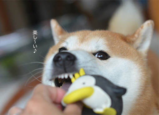 21日ブログ3.jpg