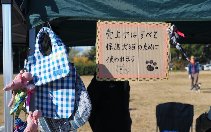 8日夕用２