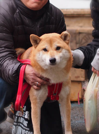 2日ブログ6.jpg