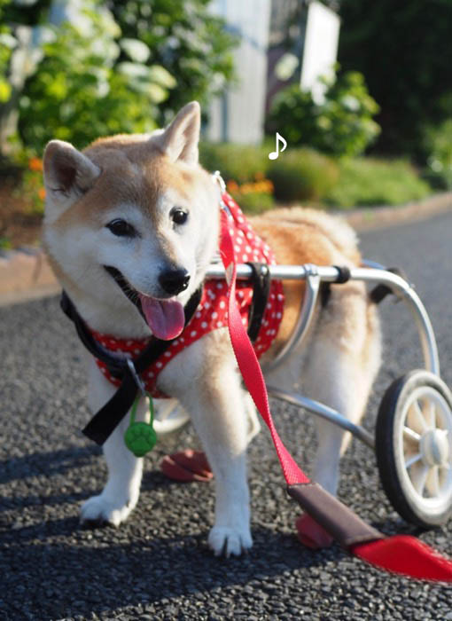 24日夕ブログ3