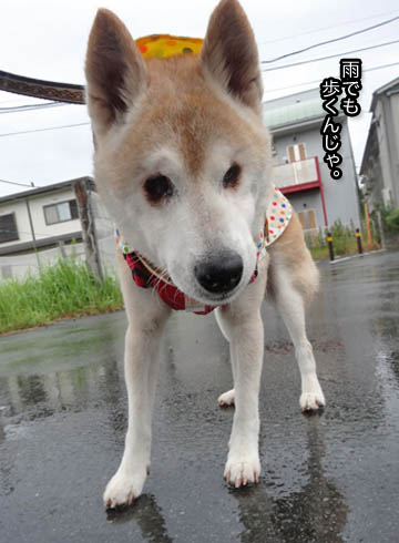 14日ブログ5.jpg