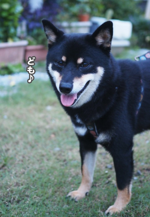 25日ブログ4