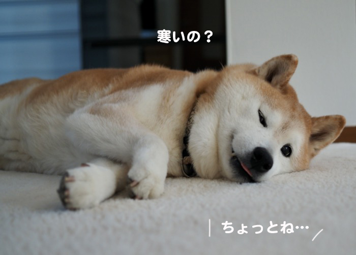 30日夕ブログ2