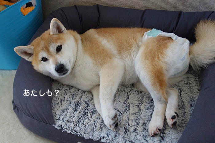 18日夜ブログ４