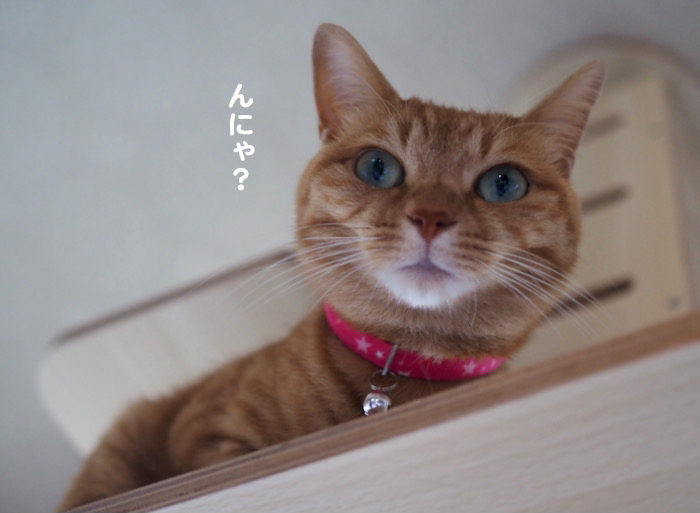 11日ブログ２