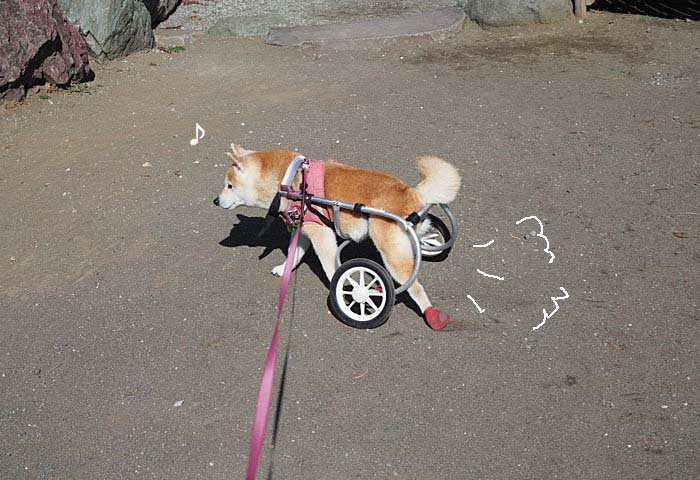 6日夜ブログ３