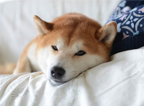 1日ブログ3.jpg