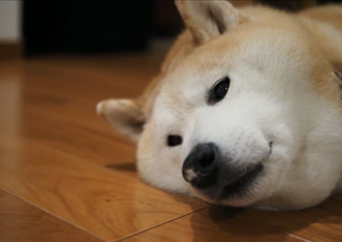28日ブログ１