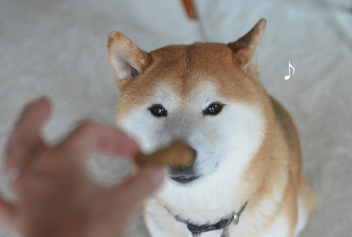 31日ブログ8