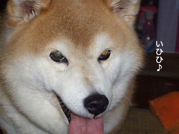 14日ブログ９
