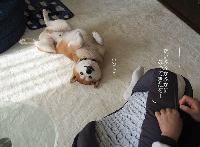 2日ブログ９
