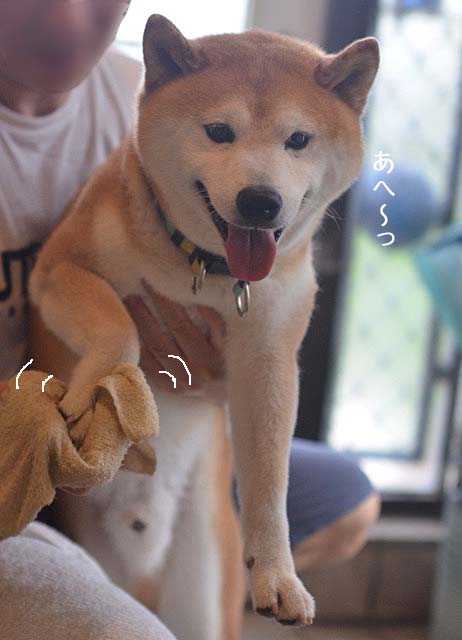 13日ブログ３