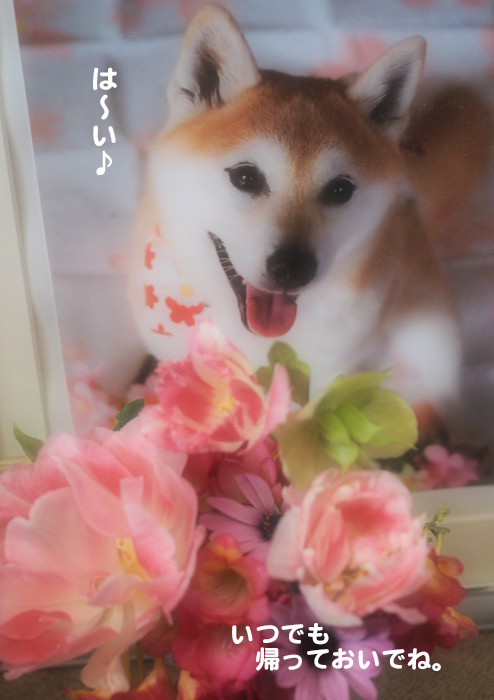 13日夕ブログ１９
