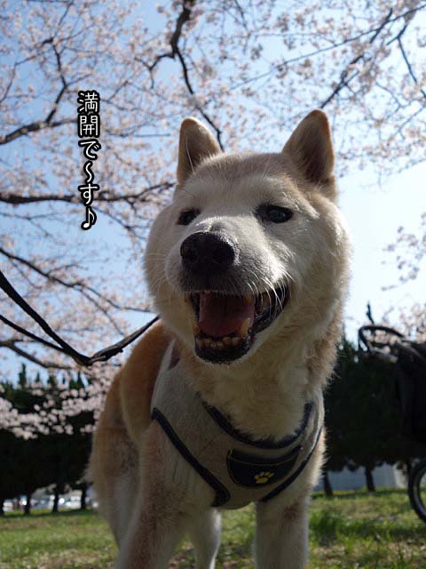 29日ブログ４