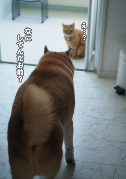 13日夕ブログ５
