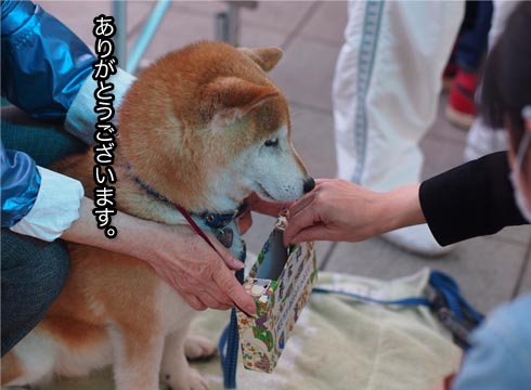 17日ブログ6.jpg