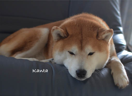 30日ブログ4.jpg