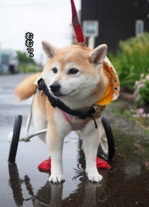 15日夕ブログ３