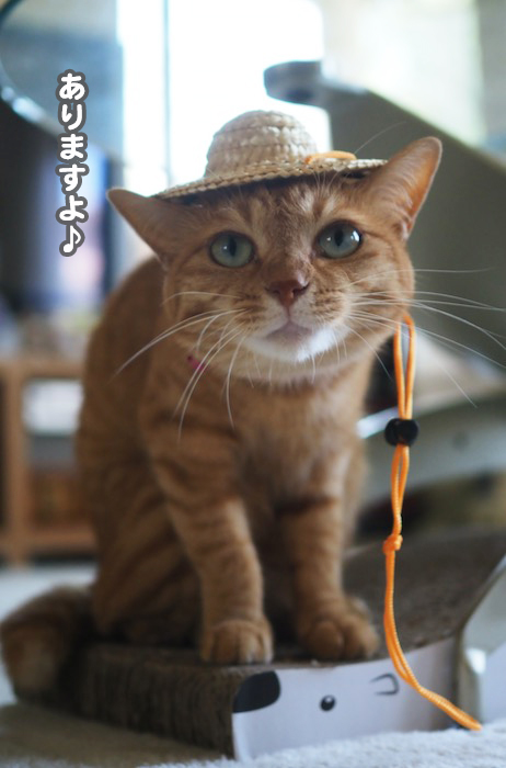 26日ブログ４