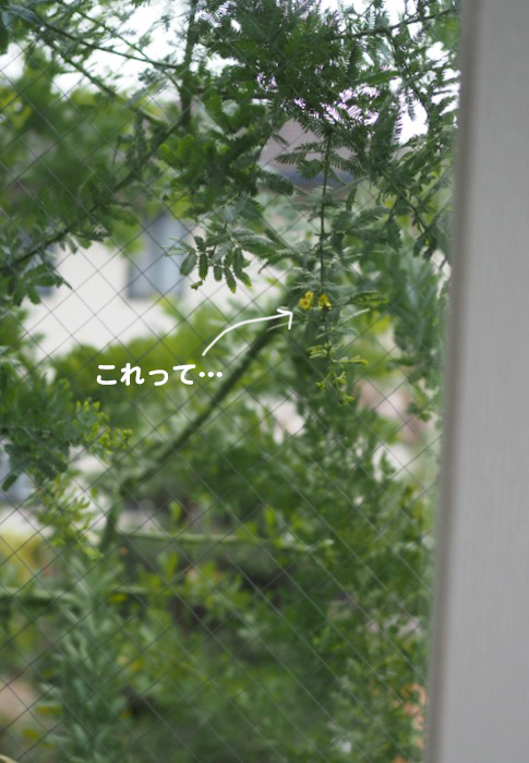 31日ブログ３