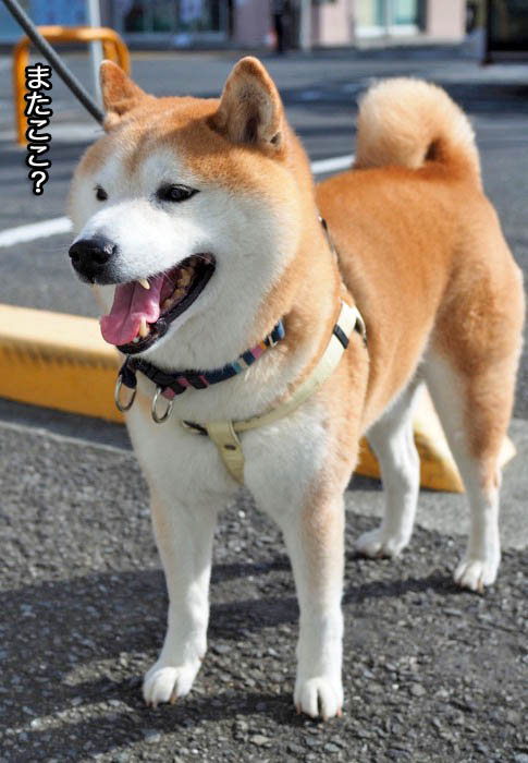 24日午後ブログ６