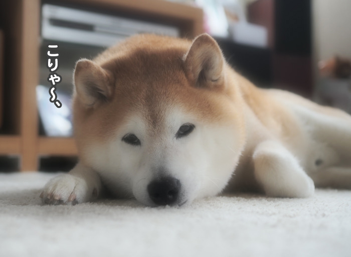 15日ブログ４