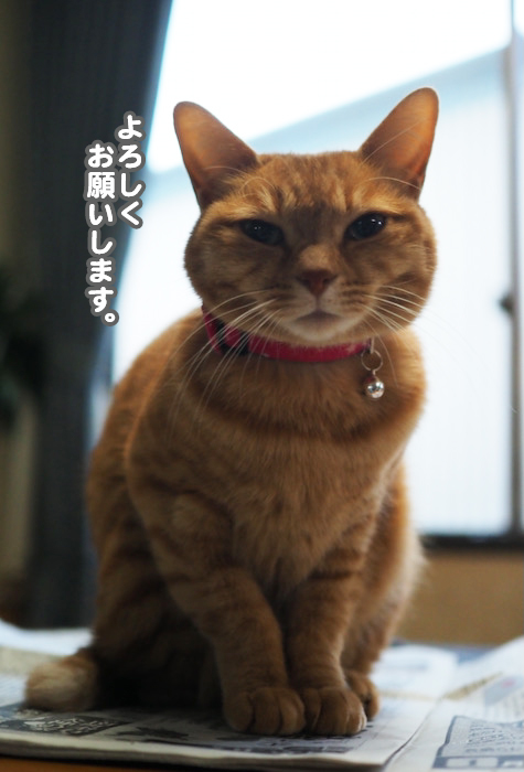 4日夕ブログ９