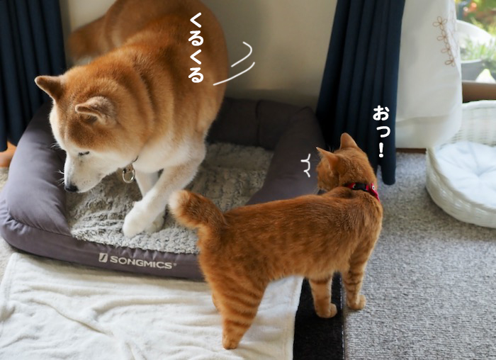 10日夕ブログ2