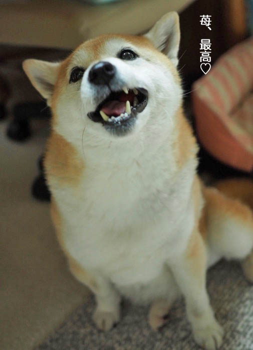 27日夜ブログ８