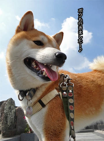 22日ブログ3.jpg