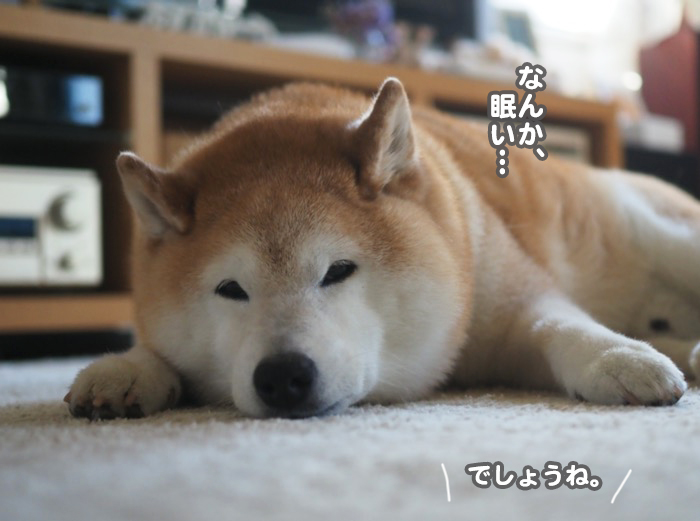 17日ブログ5