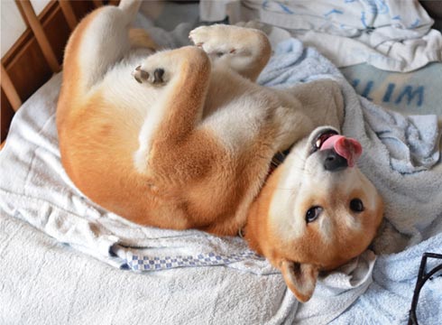 26日ブログ9.jpg