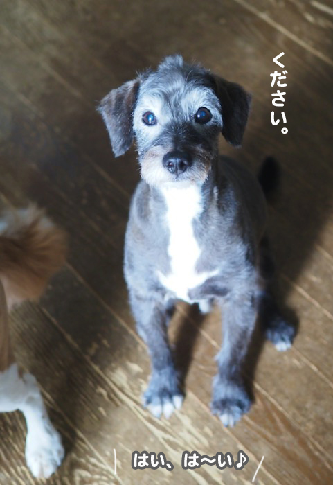 11日夕ブログ６
