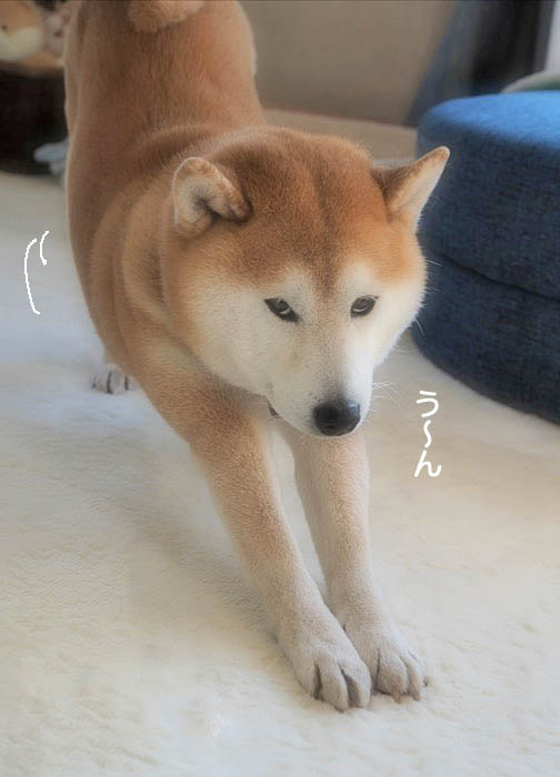 29日夜ブログ2