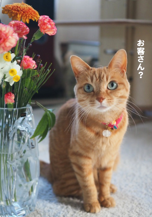 3日ブログ２