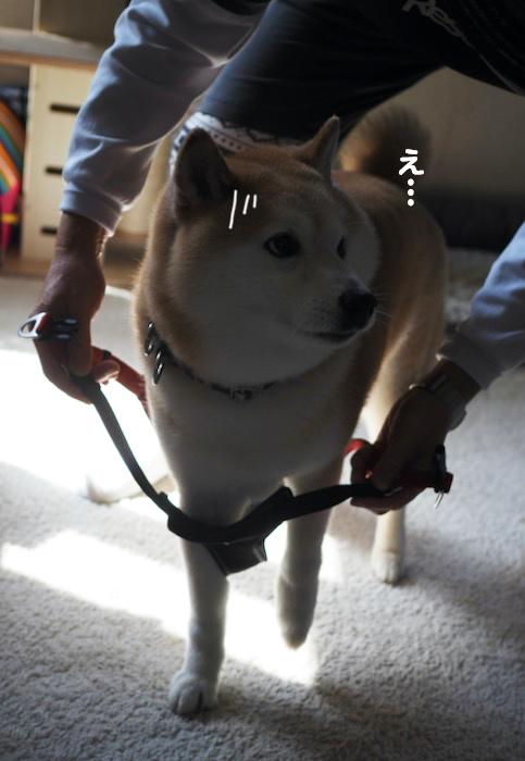 29日ブログ１