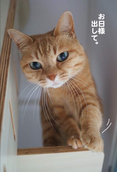 20日午前ブログ４