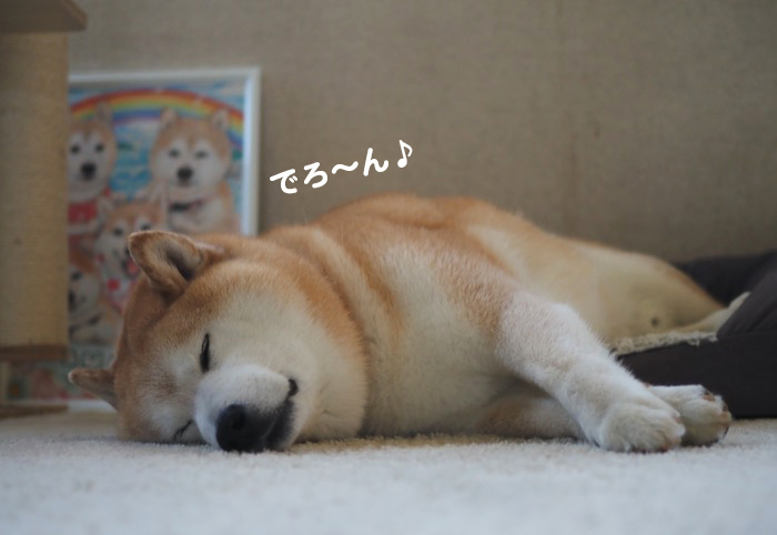 27日夕ブログ７