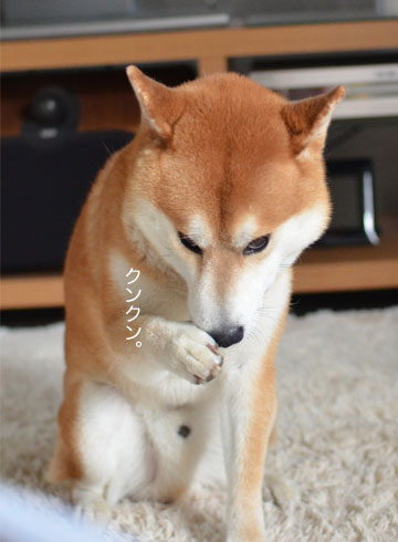 24日ブログ7.jpg