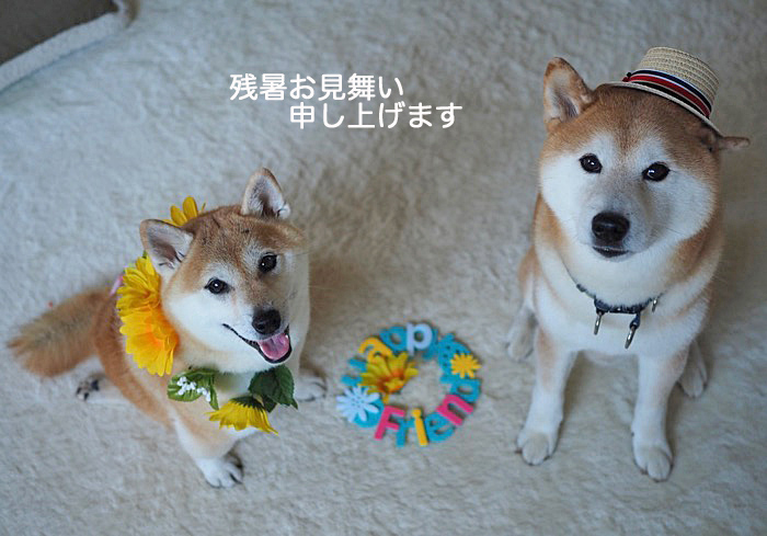 10日朝ブログ１
