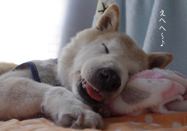 19日ブログ7