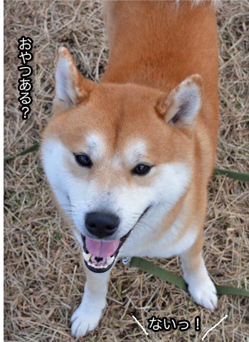 24日ブログ9.jpg