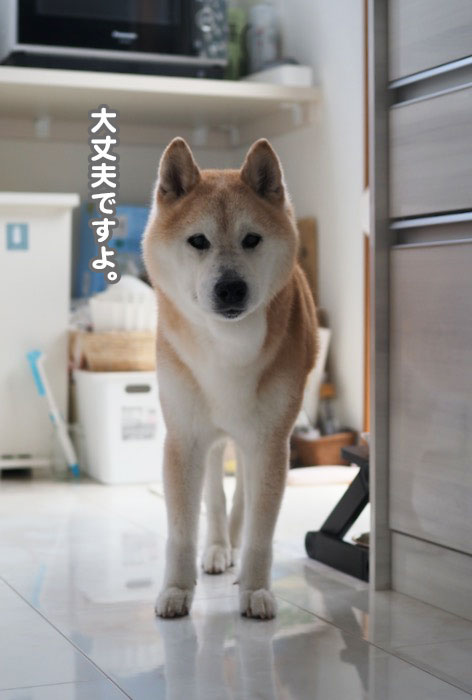 13日夕ブログ4