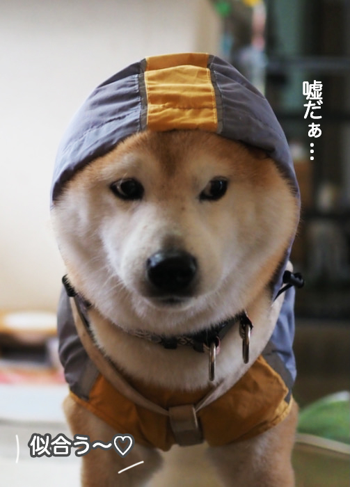 20日夜ブログ３