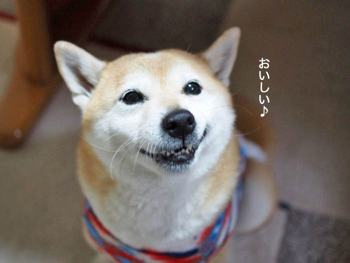 1日ブログ7