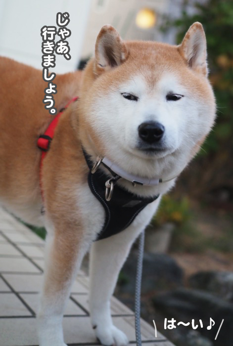 24日夕ブログ５