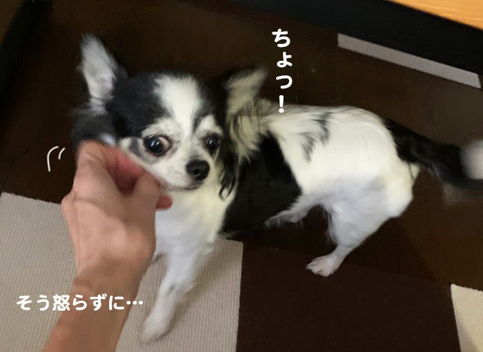 1日夕ブログ７