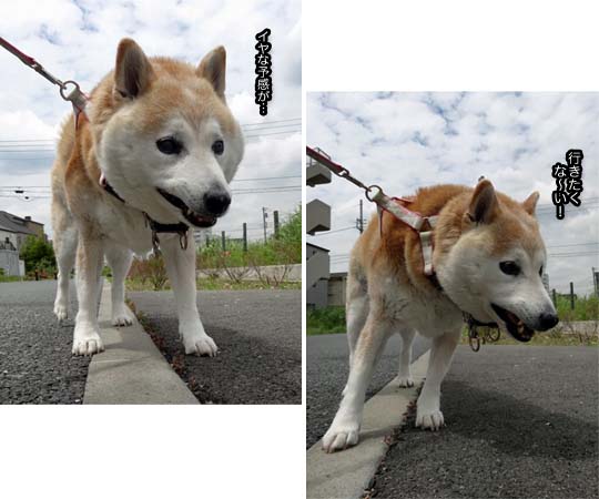 29日ブログ6.jpg